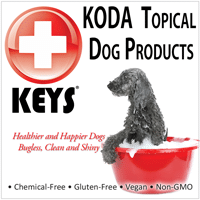 KODA-Topical-Icon